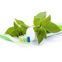 Herbal Toothpaste