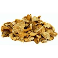 Dried Oyster Mushroom