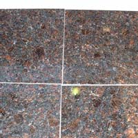 Tan Brown Granite Tiles