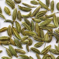 Fennel Seeds