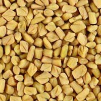 Fenugreek Seeds