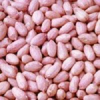 Hps Groundnuts