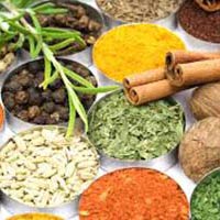 Indian spices