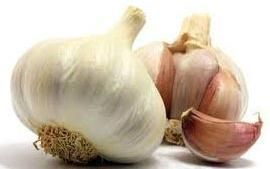 Fresh Garlic