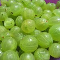 Indian Gooseberry