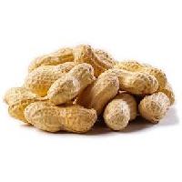 Shelled Peanuts