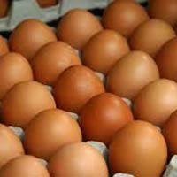 Brown Eggs