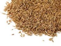 Cumin Seeds