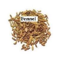 Fennel Seeds