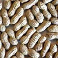 Shelled Ground Nut, Unshelled Ground Nut