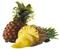 Fresh Pineapple