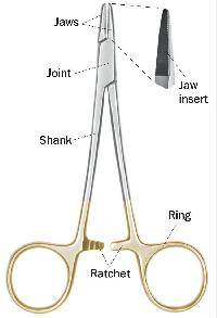 Surgical Needle