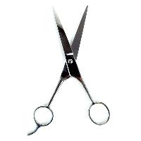 salon scissor