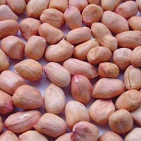 Java Peanuts