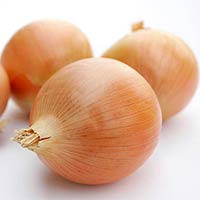 Fresh Onion