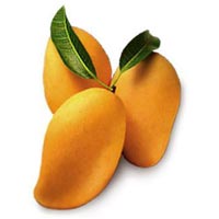 Fresh Mango