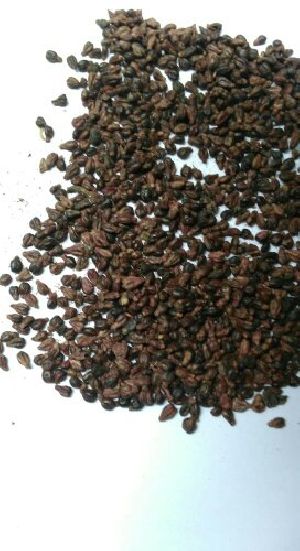 Dried Grape Seeds