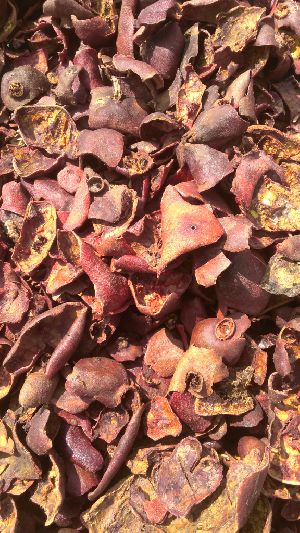 Dried Pomegranate Peel