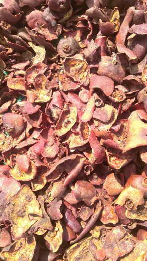 Dried Pomegranate Peel