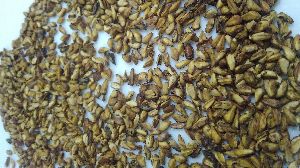 Dried Pomegranate Seeds