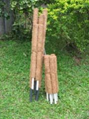 Coir Sticks