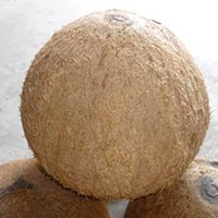 Fully Husked Coconut