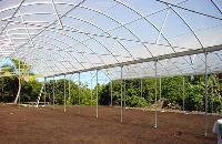 agricultural greenhouses