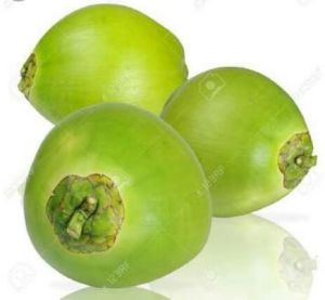 Green Coconuts