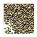 Sesbania Seed