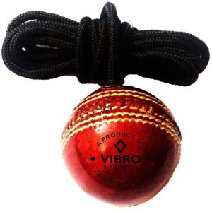 cricket knocking ball