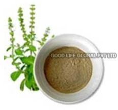 Tulsi Powder 2