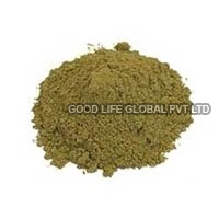 Tulsi Powder