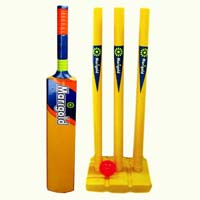 Plastic Cricket Bat Set