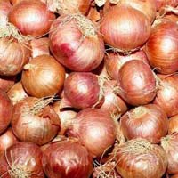 Red Onion