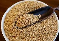 toasted sesame seeds