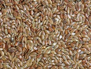 Organic Flax Seeds