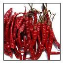 MP Teja Dried Red Chilli