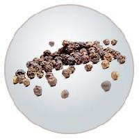 Black Pepper Seeds