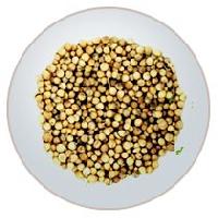 Coriander Seeds