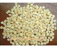 Capsicum Seeds