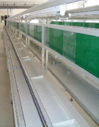 Inspection Conveyor