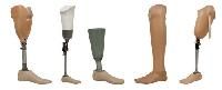 Artificial Limbs