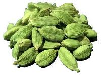 Cardamom