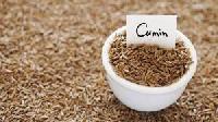 Cumin