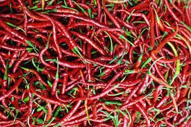 Dried Chillies