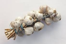 Garlic