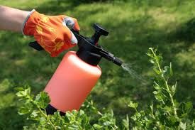 Insecticides