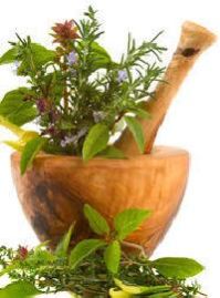 raw ayurvedic plants