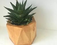 lotus wooden flower pots