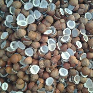 Dry Coconut Copra